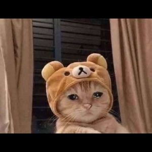 Meet your Posher, Ari